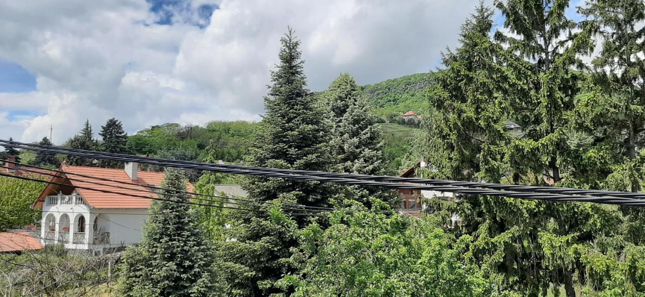Nagy Vendeghaz Badacsonytomaj Exterior foto